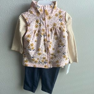 Carter’s Fall Baby Girl Infant Outfit Size 3-6 Months